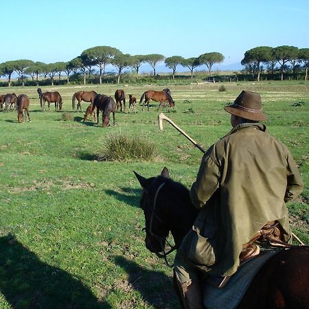 Agriturismo Biologico Sant'Egle San Quirico Kültér fotó