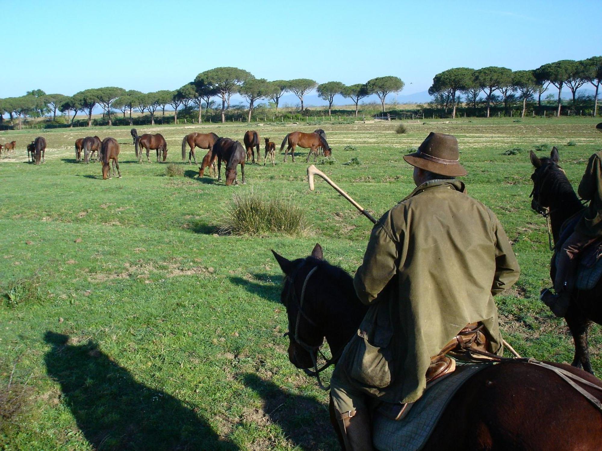 Agriturismo Biologico Sant'Egle San Quirico Kültér fotó