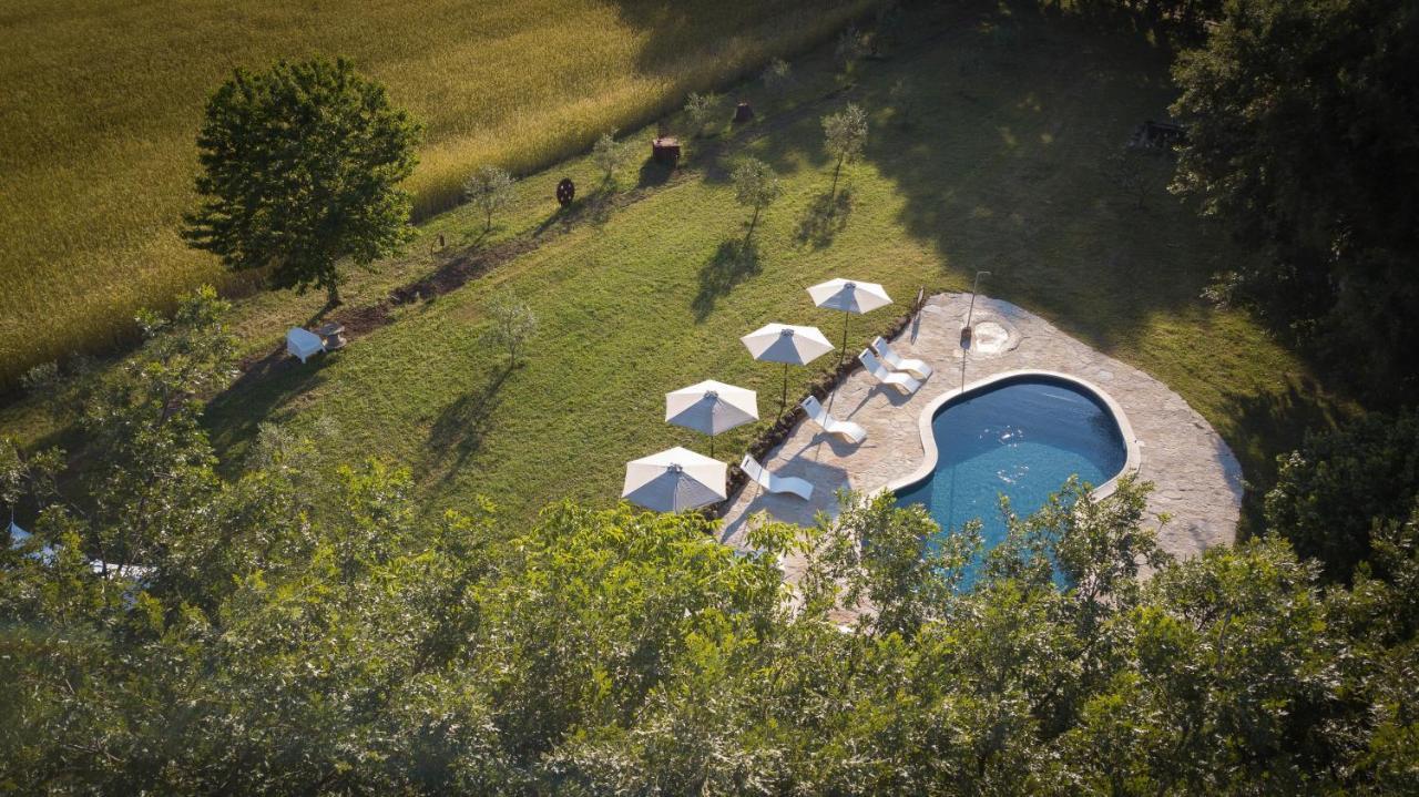 Agriturismo Biologico Sant'Egle San Quirico Kültér fotó