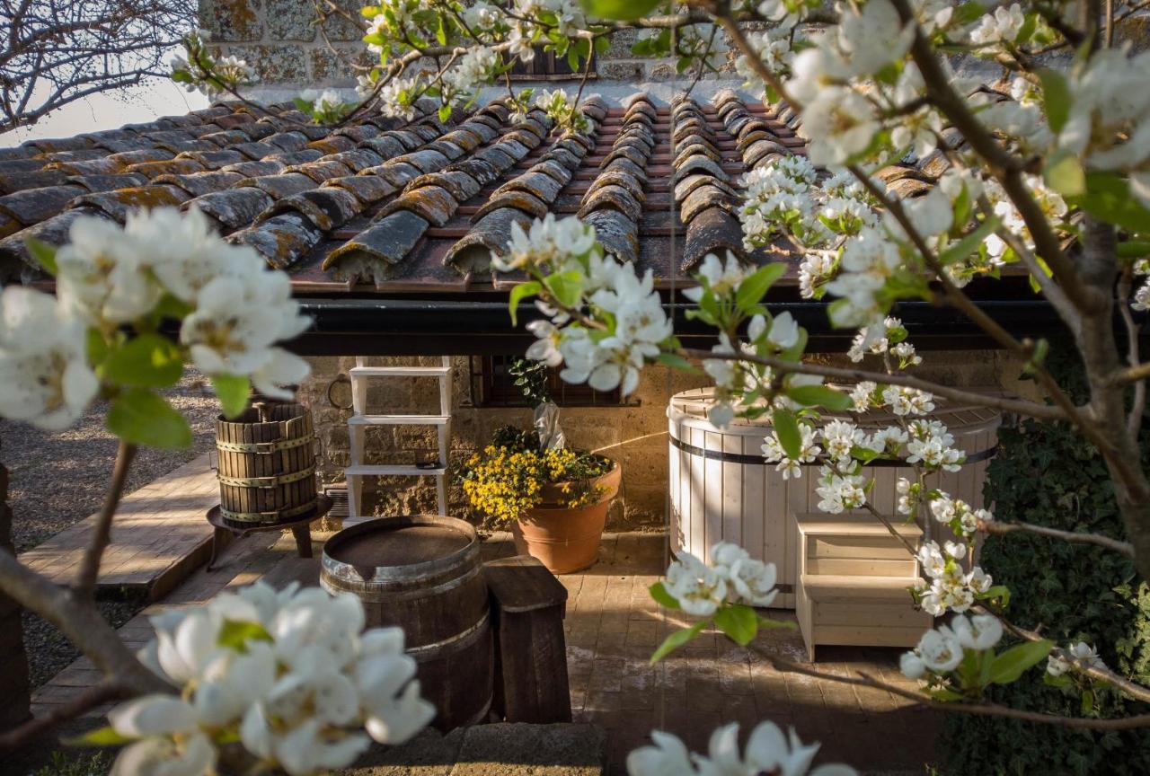Agriturismo Biologico Sant'Egle San Quirico Kültér fotó